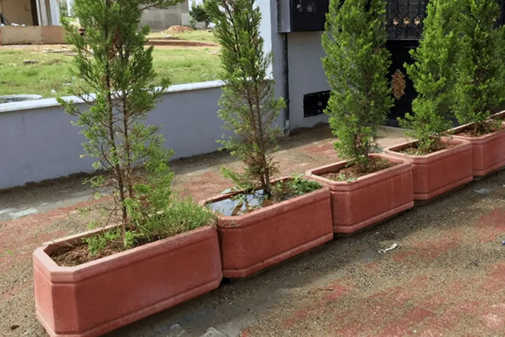 Dikdörtgen Desenli Beton Saksı